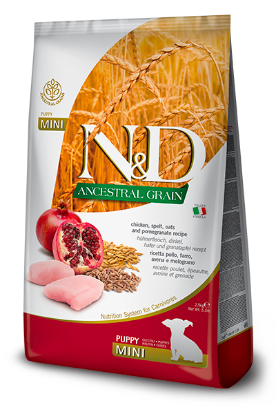 FARMINA N&D Ancestral Chicken & Pomegranate 2.5 kg sucha karma dla szczeniąt