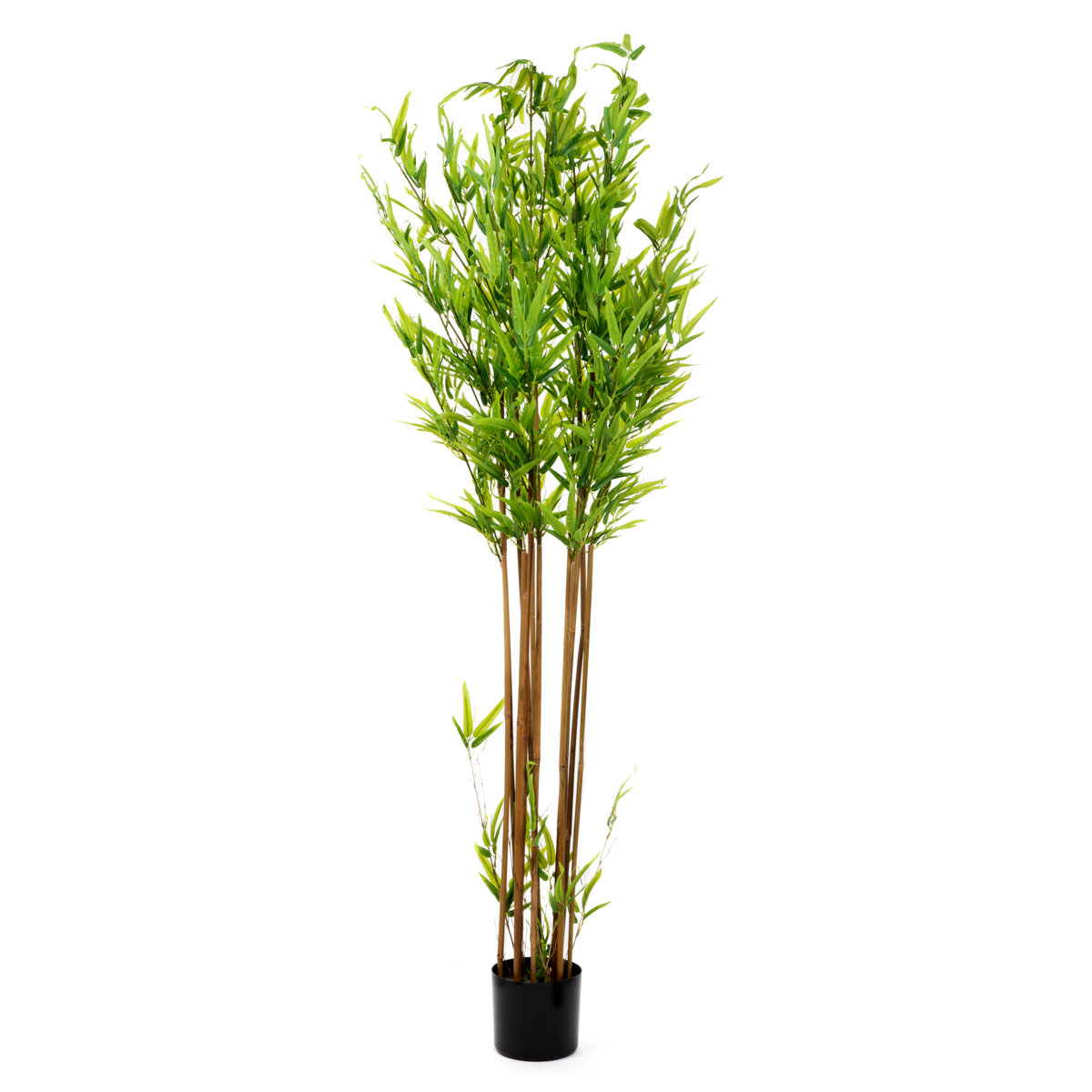 Roślina sztuczna TROPICAL ZONE bambus 180 cm HOMLA