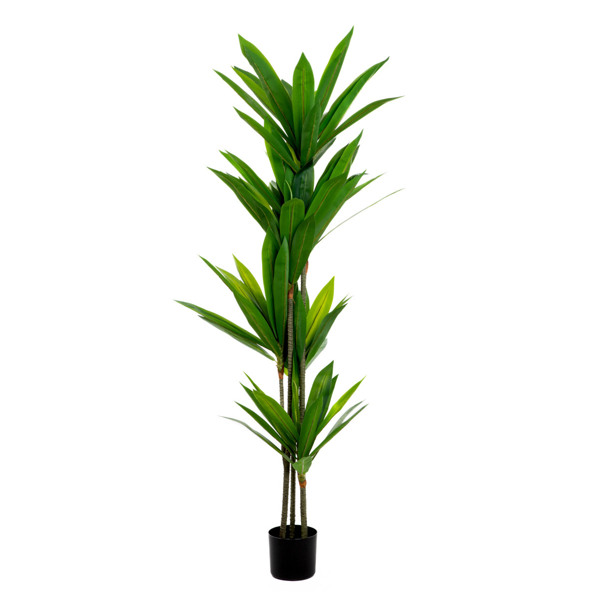 Roślina sztuczna TROPICAL ZONE dracena 160cm HOMLA