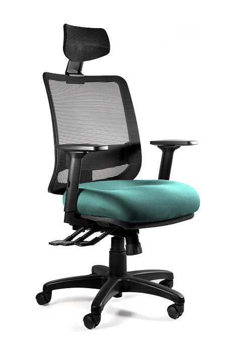 Fotel ergonomiczny do biura, Saga Plus, tealblue