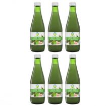 Bio Food Sok z ogórków kiszonych zgrzewka 6 x 300 ml Bio