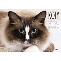 Kalendarz 2025 albumowy Koty