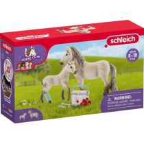Horse club Islandzki Koń i apteczka SLH42430