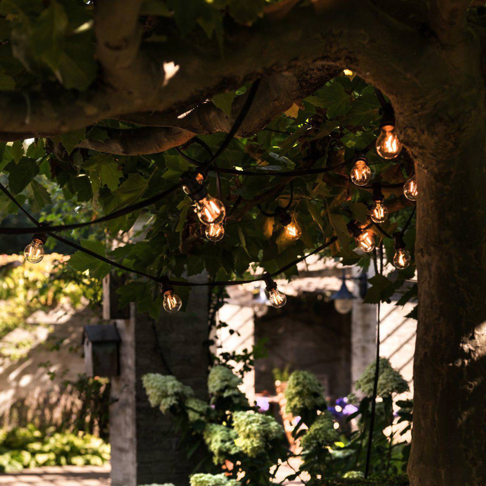 PR Home zewnętrzny łańcuch świetlny Bright, przezroczysty / czarny, 720 cm