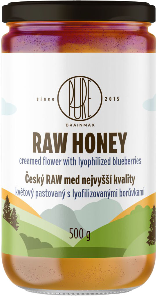 BrainMax Pure RAW miód kwiatowy z jagodami, 500 g