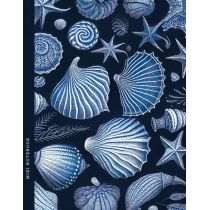 Notatnik 128x165/64K kratka muszle FRESH