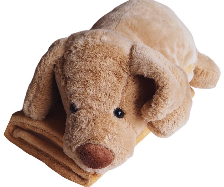 Piesek HARRY koc zestaw 3w1 pies przytulanka maskotka prezent