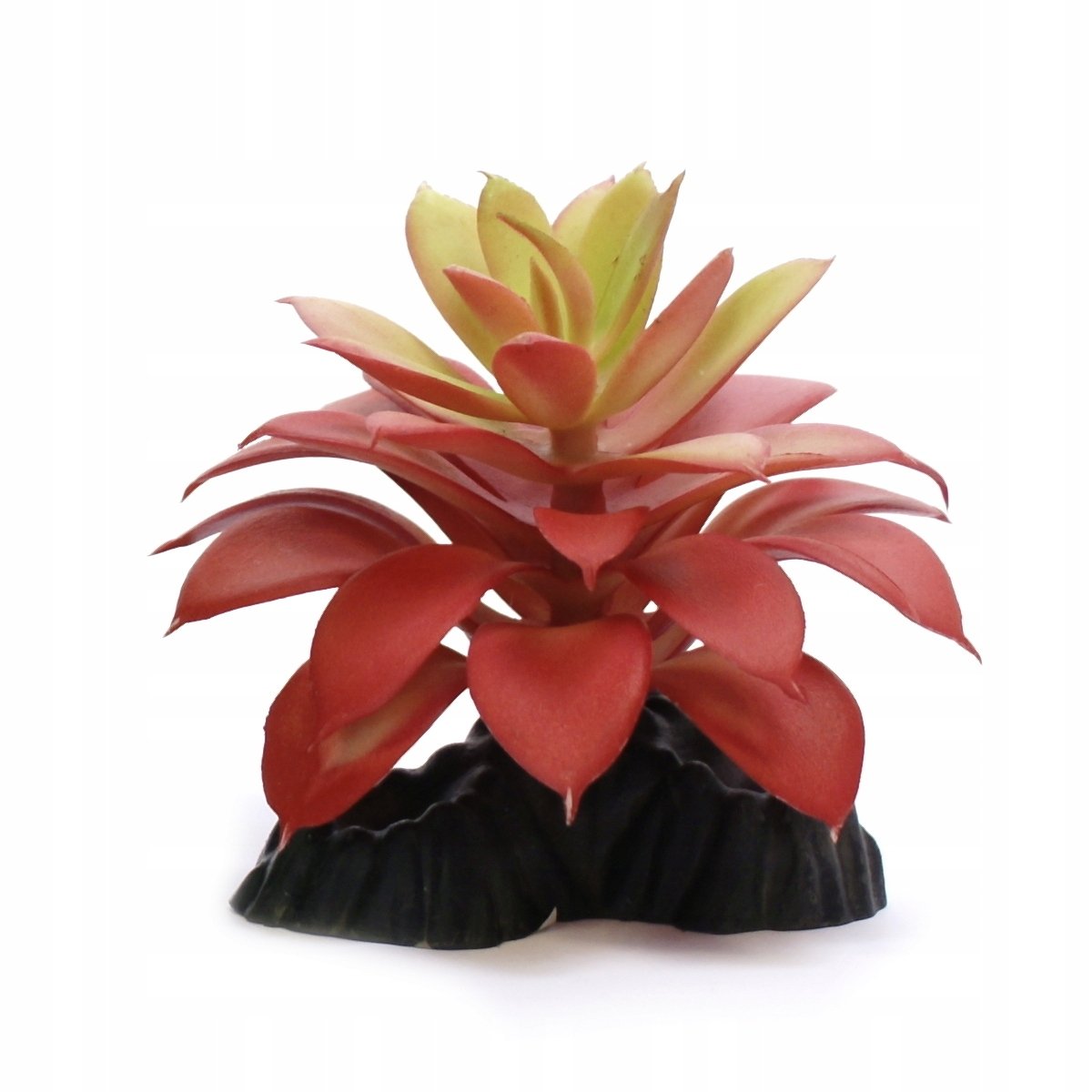 MINI KWIAT SZTUCZNA ROŚLINA SUKULENT DEKORACJA BIURA DOMU RÓŻNE WZORY