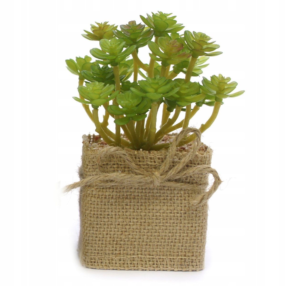 SUKULENT W DONICZCE SZTUCZNA ROŚLINA DEKORACJA BIURA DOMU RÓŻNE WZORY