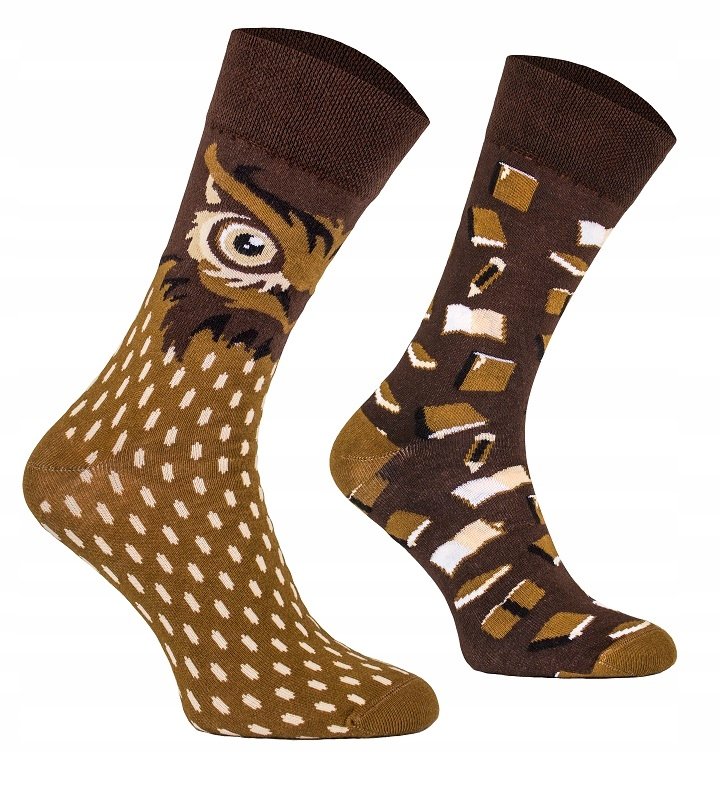 Kolorowe TODO SOCKS Smart Owl sowa książki 35-38