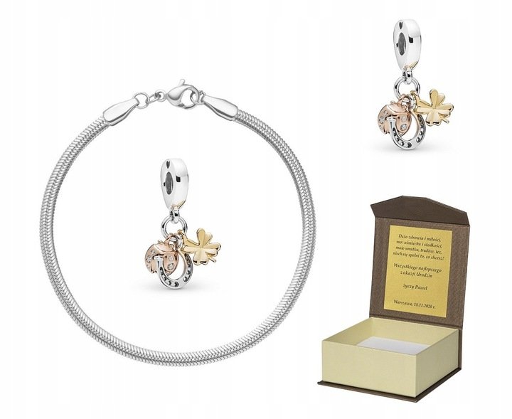 Bransoletka do Pandora + CHARMS 18 cm B150