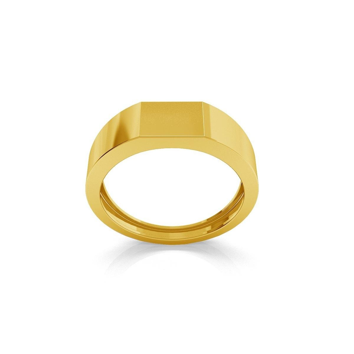 Srebrny męski sygnet grawer srebro 925 : ROZMIAR PIERŚCIONKA - 28 | UK: Y | Φ21,67 MM , Srebro - kolor pokrycia - Pokrycie żółtym 18K złotem