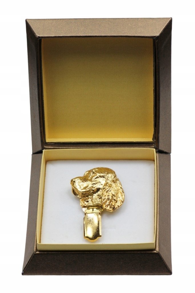Springer Spaniel broszka z klipsem w pudełku