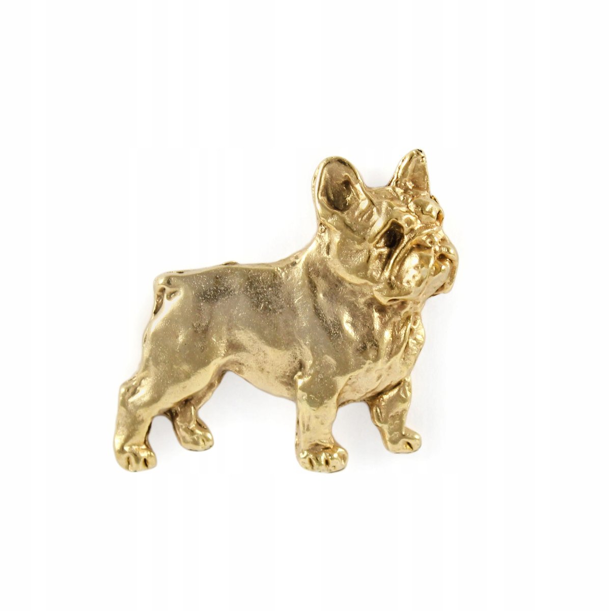 Buldog Francuski pozłacany pin broszka