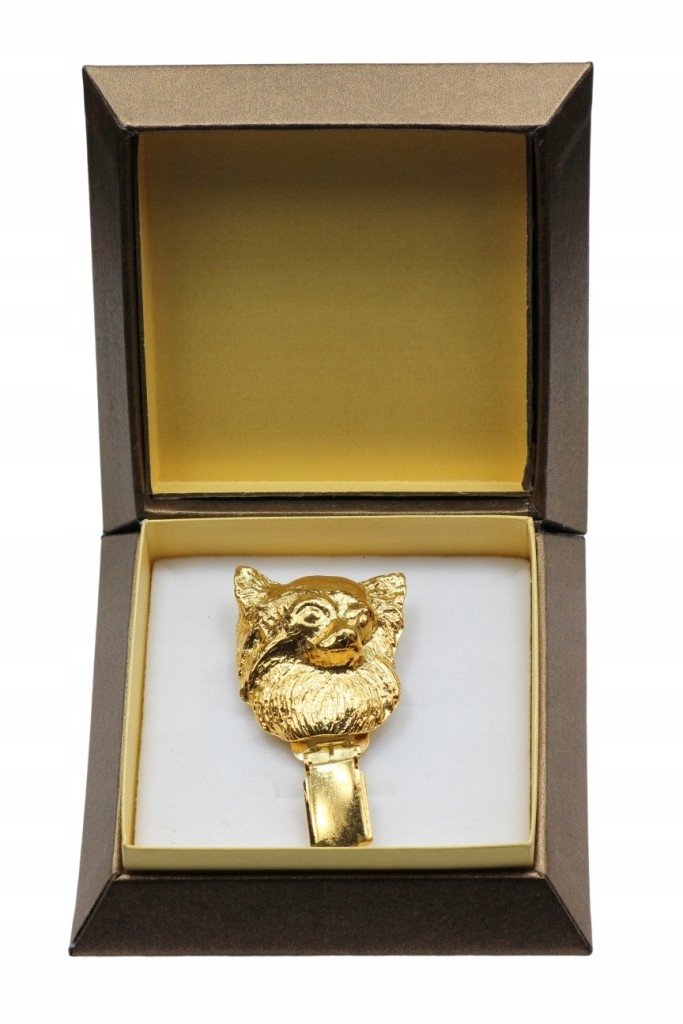 Chihuahua broszka z klipsem w pudełku dog show