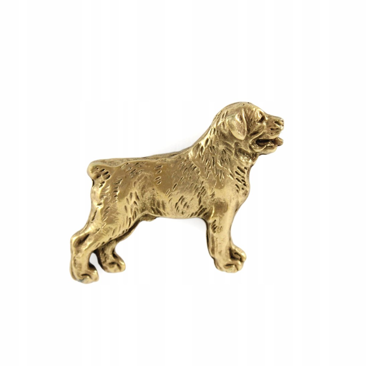 Rottweiler pozłacany pin broszka