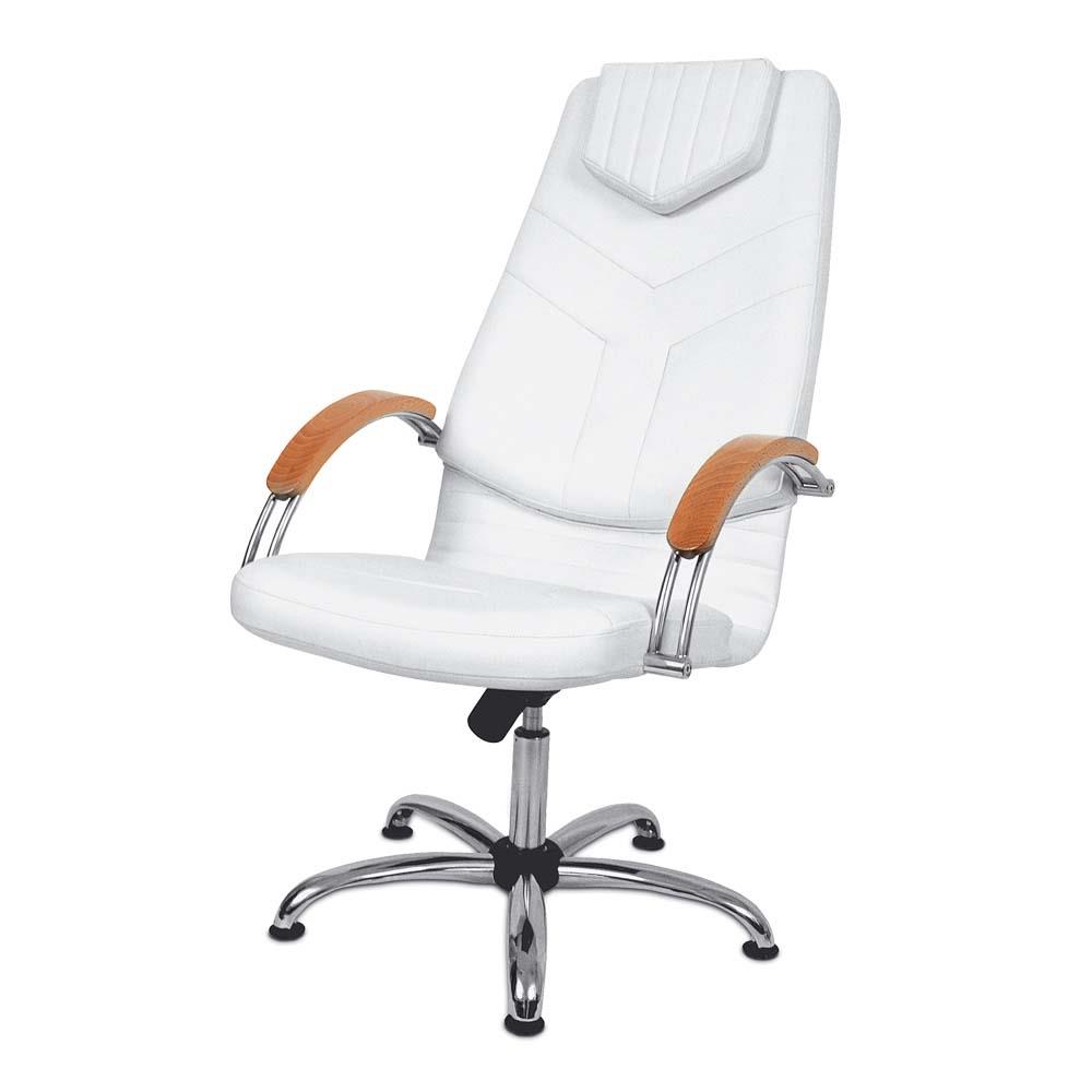 DINO I Fotel kosmetyczny z podłokietnikami Rodzaj obicia: Skaj Basic, Podłokietnik: Drewniany