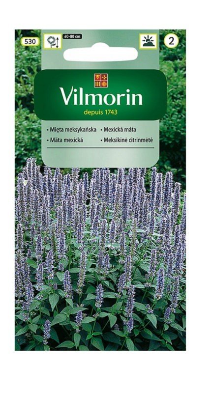 Mięta meksykańska 0,1 g Vilmorin