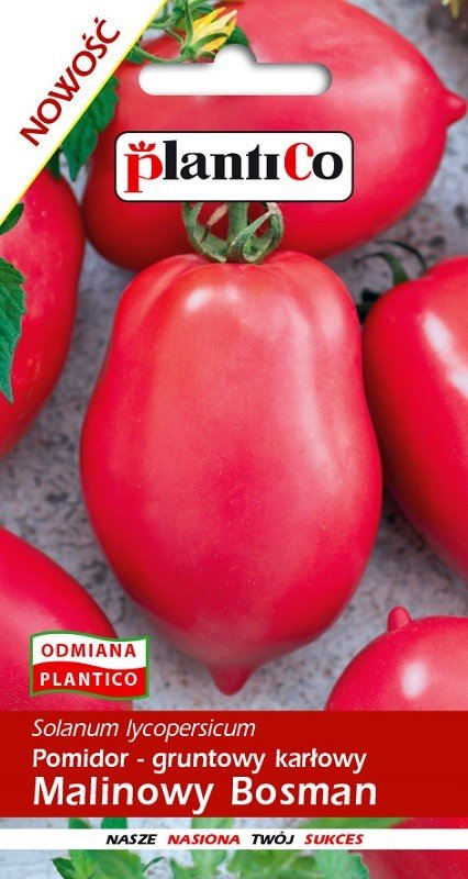 Pomidor gruntowy Malinowy Bosman 10 g Plantico