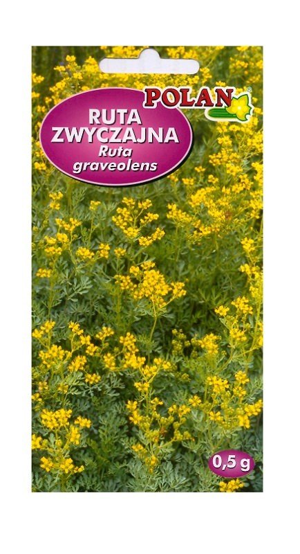 Ruta zwyczajna 0,5 g POLAN