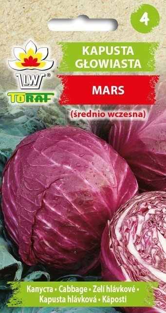Kapusta głowiasta czerwona MARS (śr. wczesna) Brassica oleracea L. var capitata f. rubra