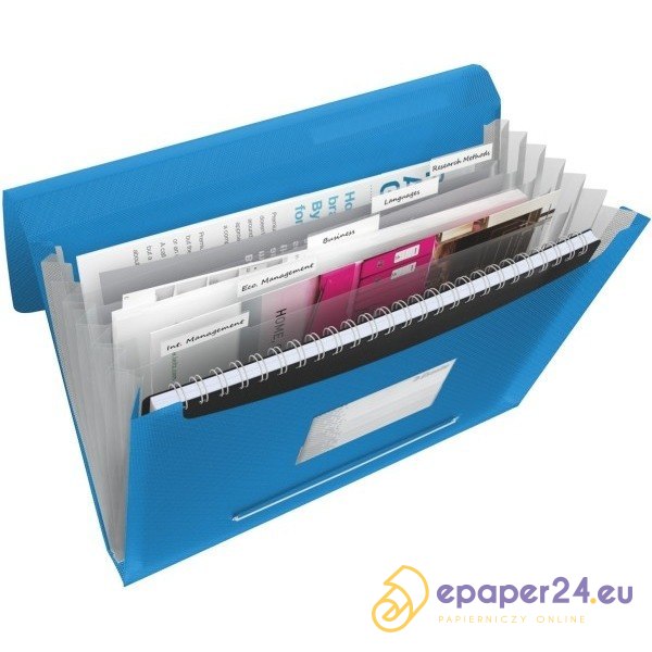 TECZKA Z 6 PRZEGRÓDKAMI ESSELTE VIVIDA, NIEBIESKI