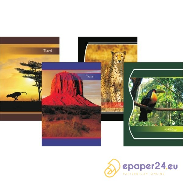 BARTOREX Zeszyt BARTOTEX A5 96 kartek szeroka linia, margines 6784