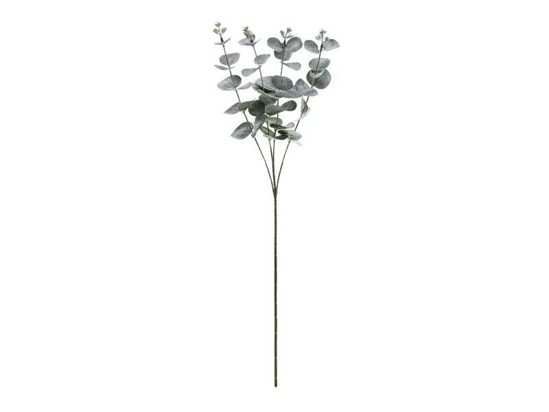 Gałązka Eukaliptus - 60 cm