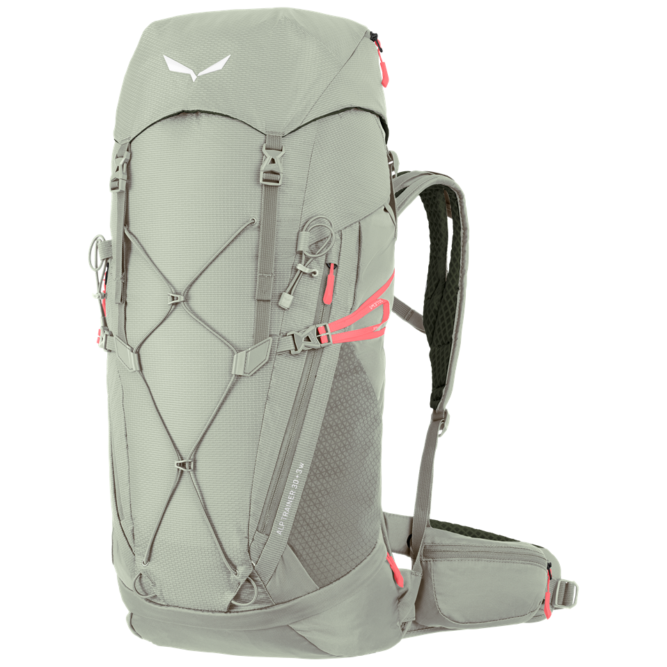 Plecak damski Salewa Alp Trainer 30+3 WS Kolor: szary