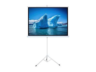 ART MANUAL SCREEN ON A TRIPOD 70inch 178x178cm TA-70 1:1