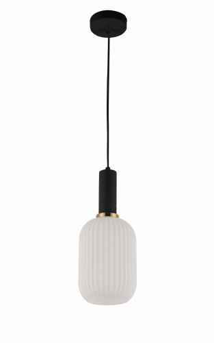 LAMPA WISZĄCA LOFT BIAŁO-CZARNA RICO