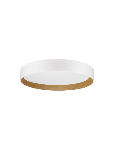 Plafon ROSITA LE43585
