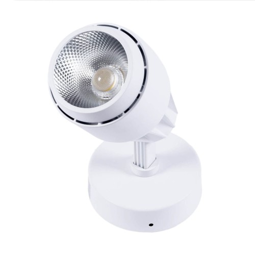 Reflektor nastropowy LED Greenie COB 20W biały WW