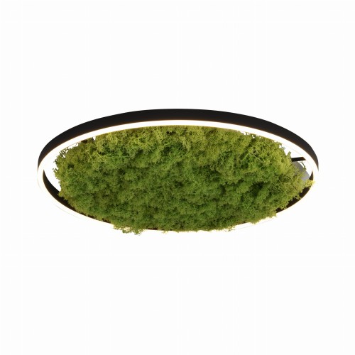 Lampa Sufitowa 15392-66 GREEN RITUS ceiling light, moss