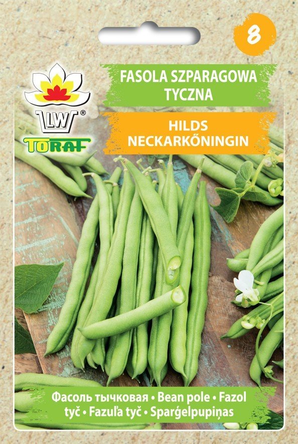 Fasola szp. tyczna zielonostr. HILDS NECKARKÖNIGIN Phaseolus vulgaris L.
