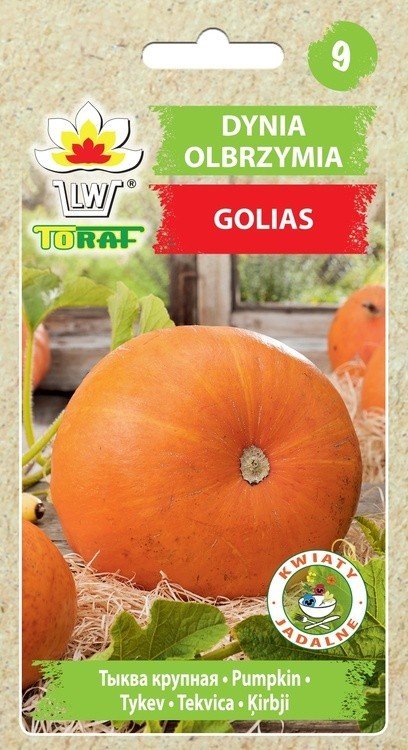 Dynia olbrzymia GOLIAS Cucurbita maxima