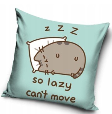 KOTEK PUSHEEN Poszewka na poduszkę DZIECIĘCĄ 40 x 40 cm Jasiek VELVET