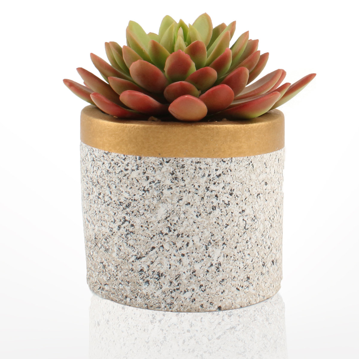 SUKULENT kwiat roślina 15 cm dekoracja domu betonowa doniczka