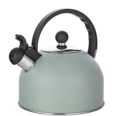 Czajnik nierdzewny DAILY 2,5 l szałwiowy