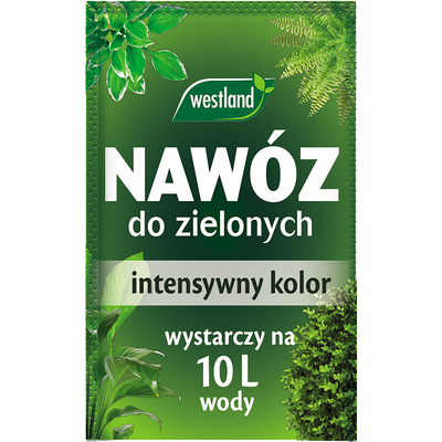 Nawóz krystaliczny do roślin zielonych saszetka 10 g Westland