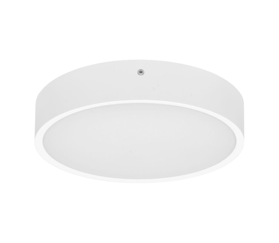Ecolite WMAT300-15W/BI - LED Plafon MARTIN LED/15W/230V IP65 biały