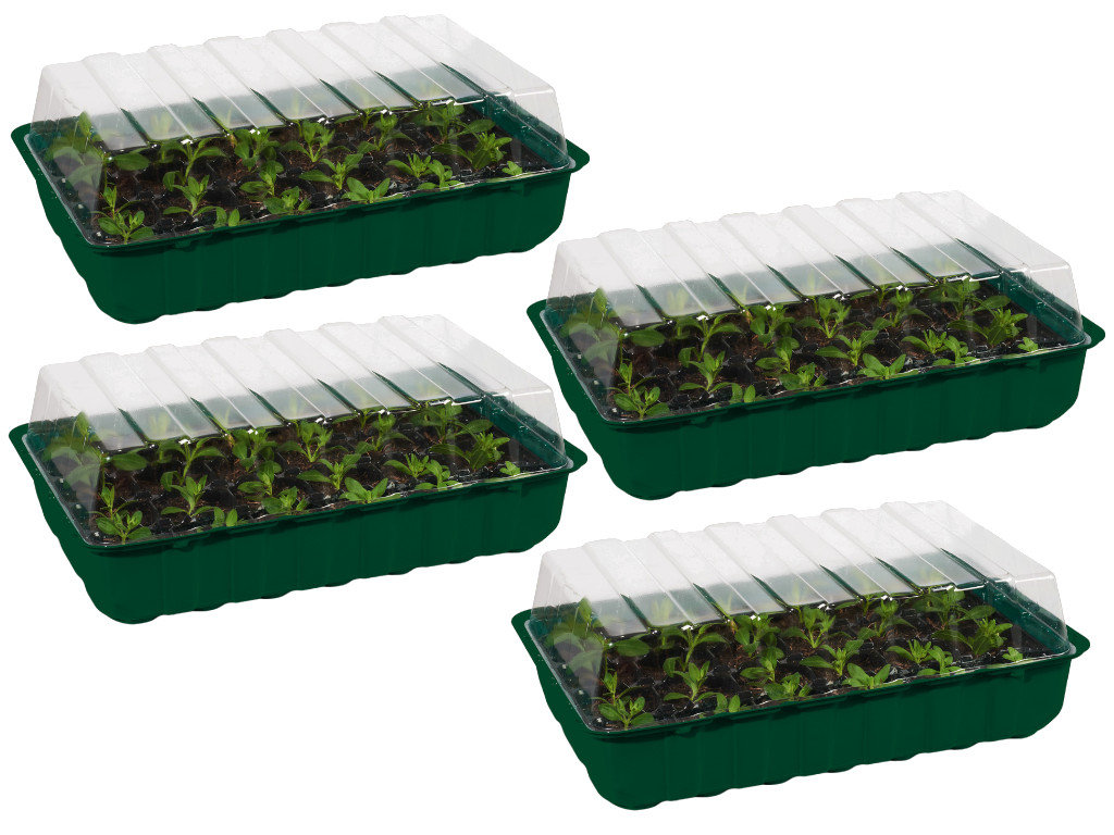 Zestaw 4 Mini Szklarnia PARKSIDE 36 x 22 cm na 24 sadzonki rozsady wkłady