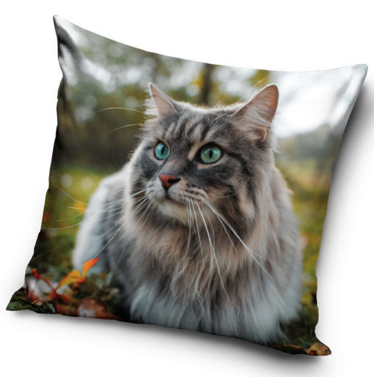 Poszewka 40x40 KOT z kotem