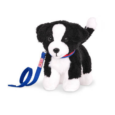 Szczeniaczek z regulowanymi kończynami - BORDER COLLIE -