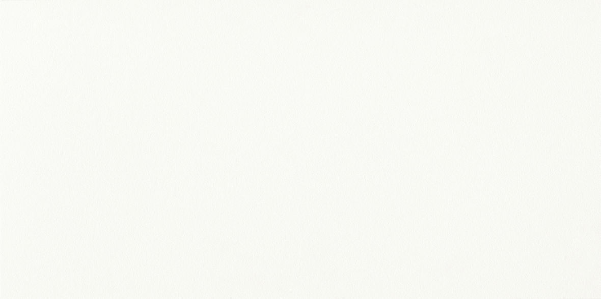 Glazura Ps800 Parmina white micro rectified 29,8x59,8 Opoczno