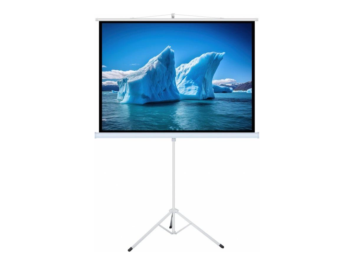 ART MANUAL SCREEN ON A TRIPOD 100inch 152x203cm TA-100 4:3