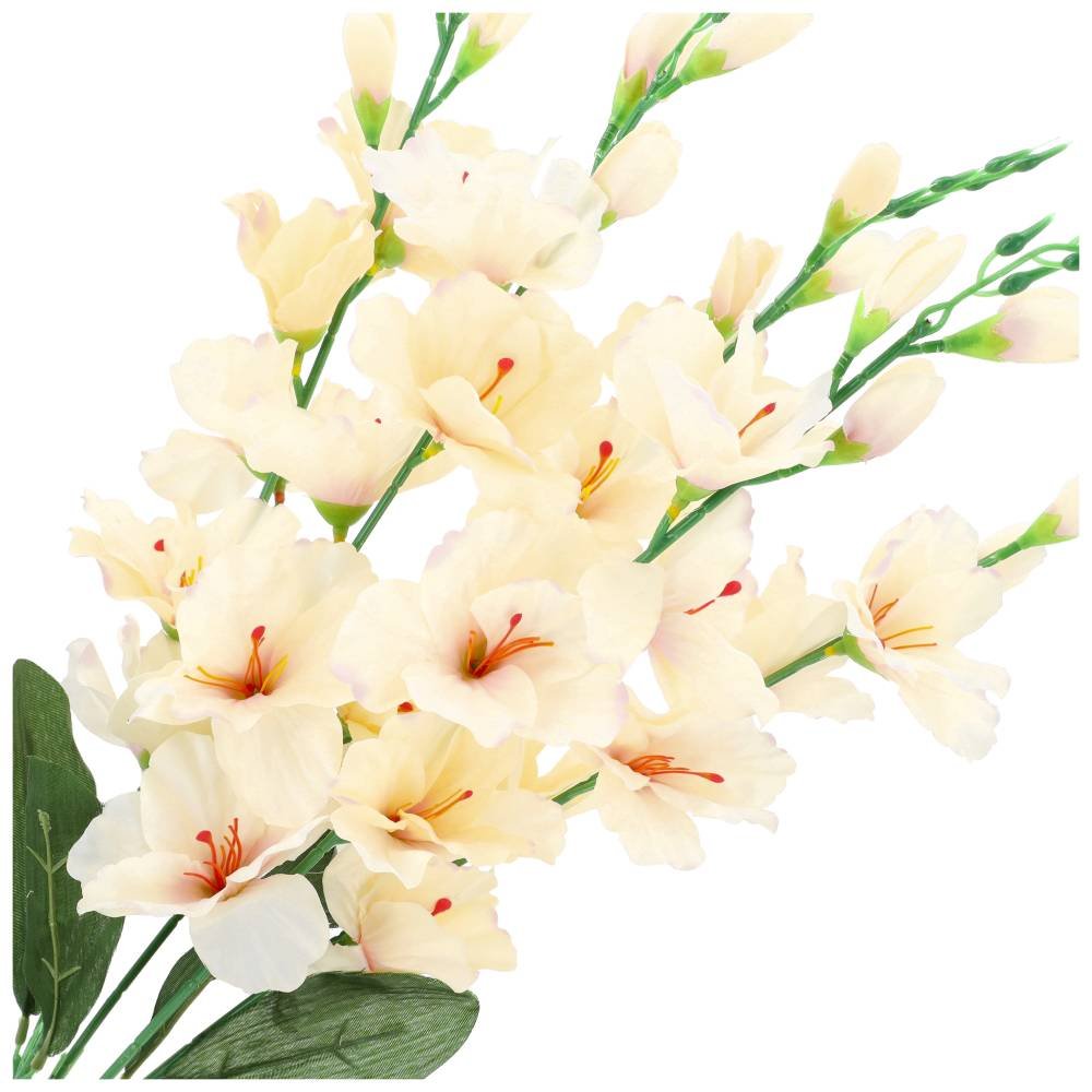 Bukiet Mieczyki Krem KR1068F