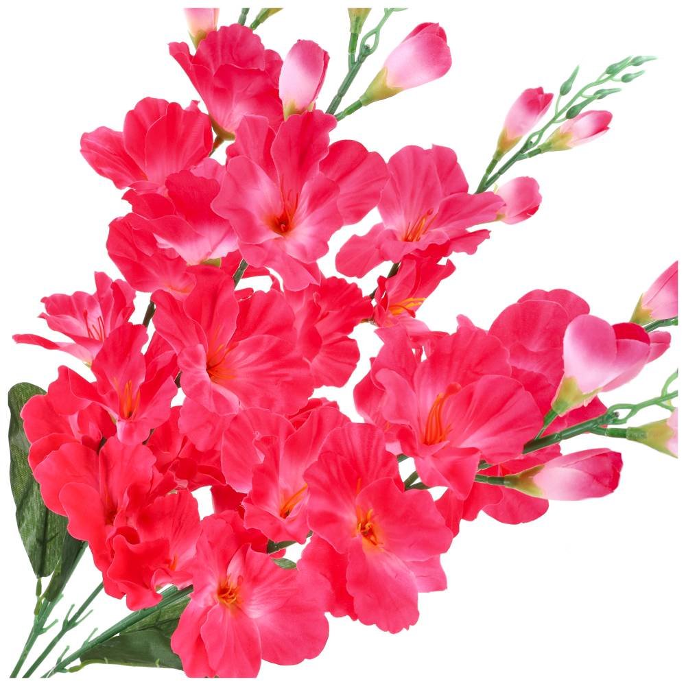 Bukiet Mieczyki Amarant KR1068E