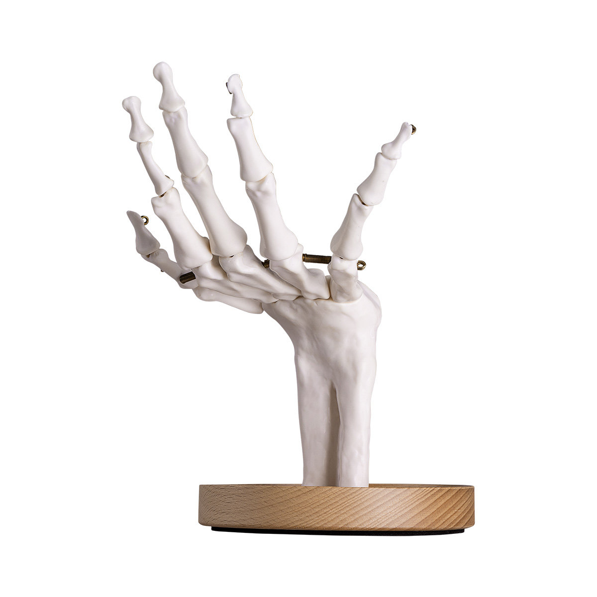 stojak na biżuterię SKELETON HAND WHITE