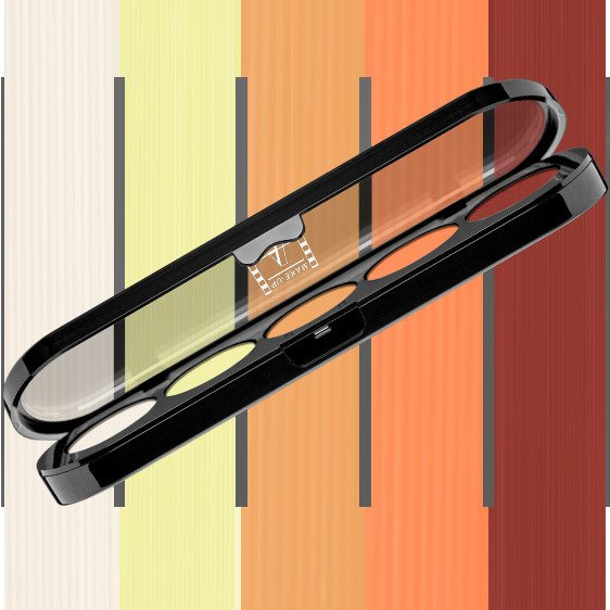 MAKEUP ATELIER PARIS Paleta Cieni do Powiek T06 - Canary